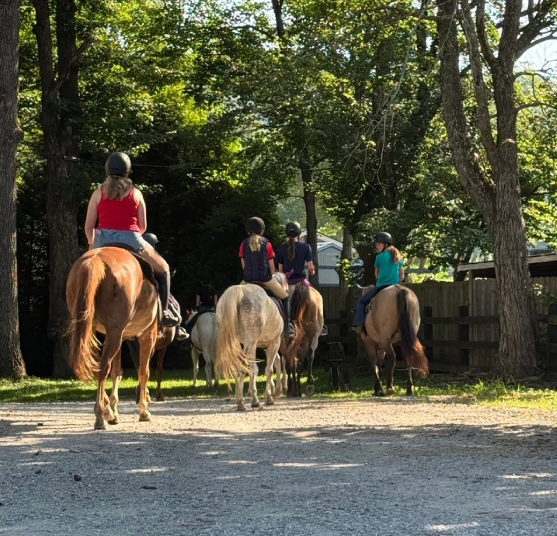 Caroline Stables